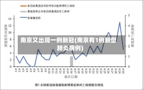 南京又出现一例新冠(南京有1例新型肺炎病例)