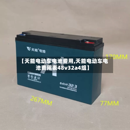 【天能电动车电池费用,天能电动车电池费用表48v32a4组】-第2张图片