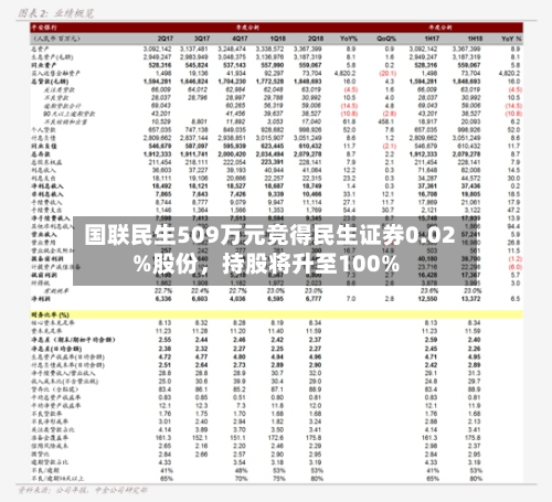 国联民生509万元竞得民生证券0.02%股份	，持股将升至100%-第3张图片