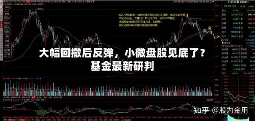 大幅回撤后反弹，小微盘股见底了？基金最新研判-第2张图片