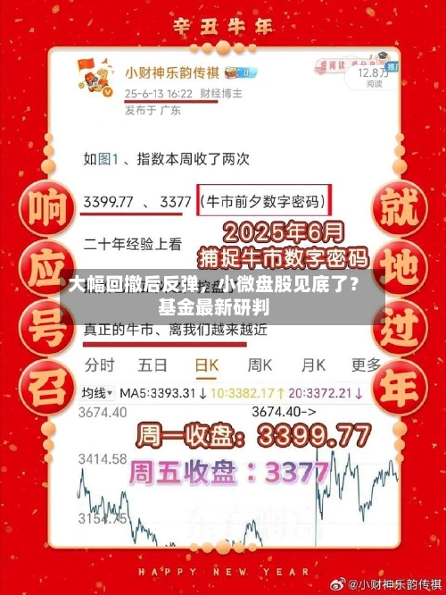 大幅回撤后反弹，小微盘股见底了？基金最新研判-第3张图片
