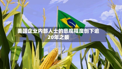 美国企业内部人士的悲观程度创下逾20年之最-第2张图片
