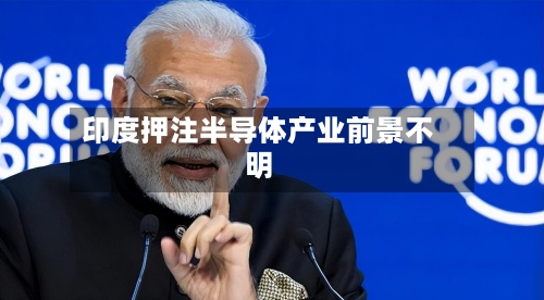 印度押注半导体产业前景不明-第3张图片