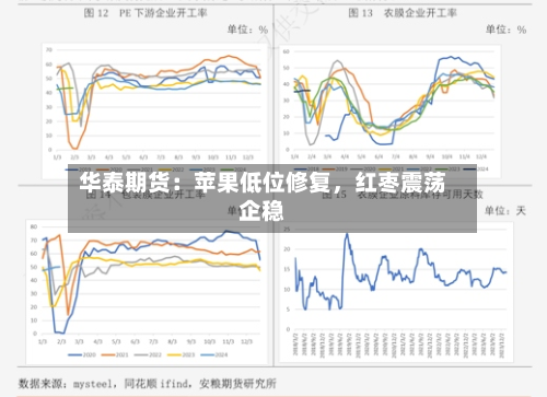 华泰期货：苹果低位修复，红枣震荡企稳-第2张图片