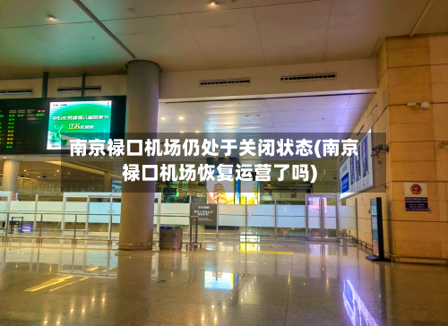 南京禄口机场仍处于关闭状态(南京禄口机场恢复运营了吗)-第2张图片