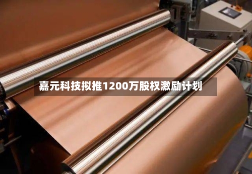 嘉元科技拟推1200万股权激励计划
