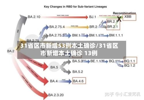 31省区市新增53例本土确诊/31省区市新增本土确诊 13例-第2张图片
