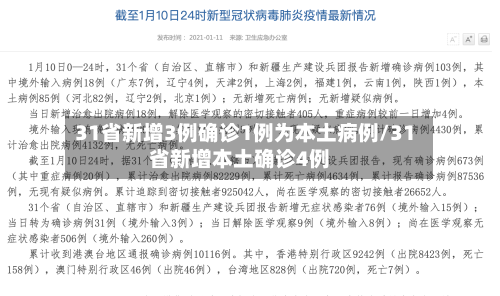 31省新增3例确诊1例为本土病例/31省新增本土确诊4例