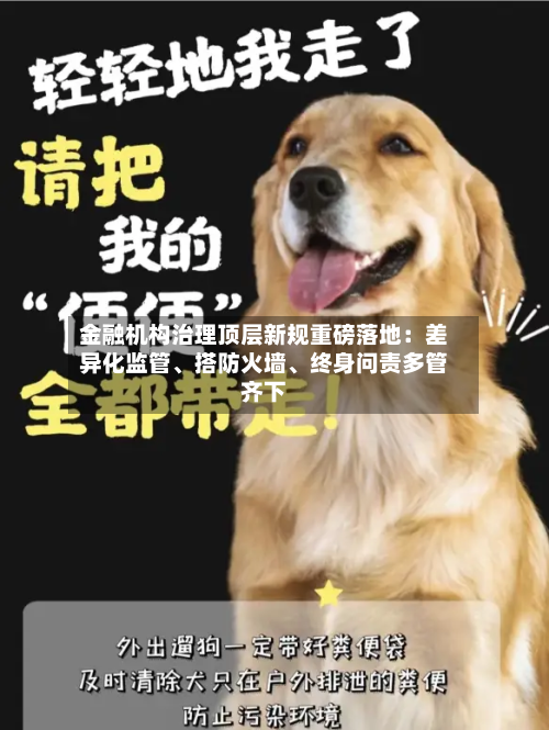 金融机构治理顶层新规重磅落地：差异化监管	、搭防火墙、终身问责多管齐下-第3张图片