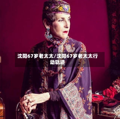 沈阳67岁老太太/沈阳67岁老太太行动轨迹-第2张图片