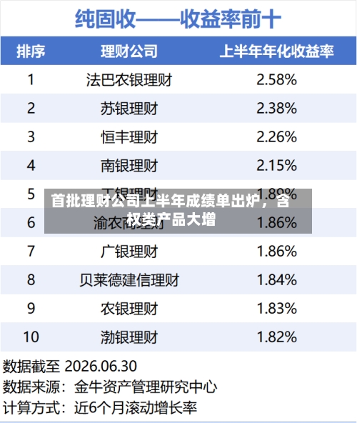 首批理财公司上半年成绩单出炉，含权类产品大增-第2张图片