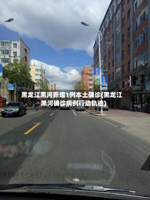 黑龙江黑河新增1例本土确诊(黑龙江黑河确诊病例行动轨迹)-第2张图片