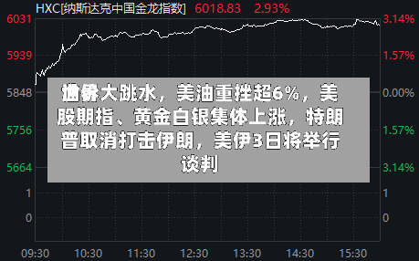 世界油价大跳水，美油重挫超6%	，美股期指	、黄金白银集体上涨，特朗普取消打击伊朗，美伊3日将举行谈判-第3张图片