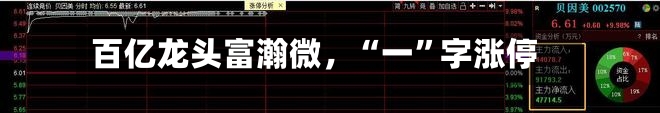 百亿龙头富瀚微	，“一”字涨停-第3张图片
