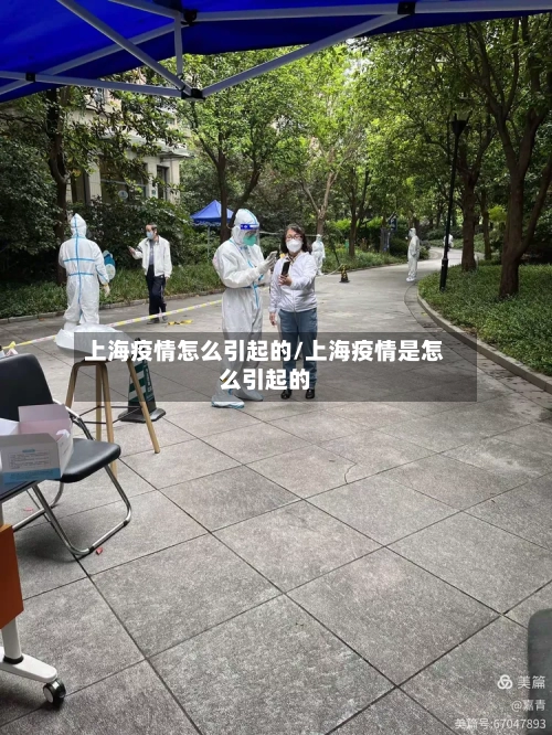 上海疫情怎么引起的/上海疫情是怎么引起的
