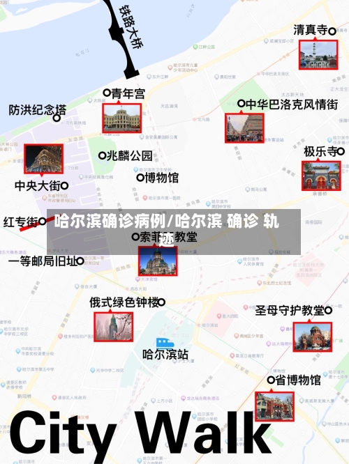 哈尔滨确诊病例/哈尔滨 确诊 轨迹