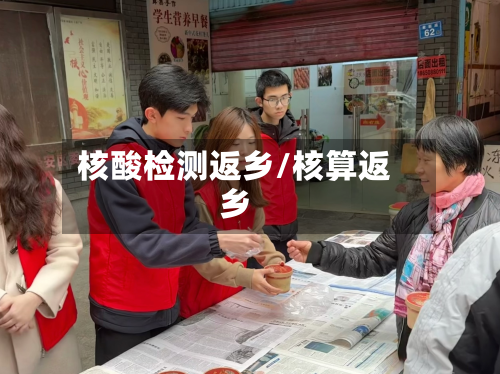 核酸检测返乡/核算返乡