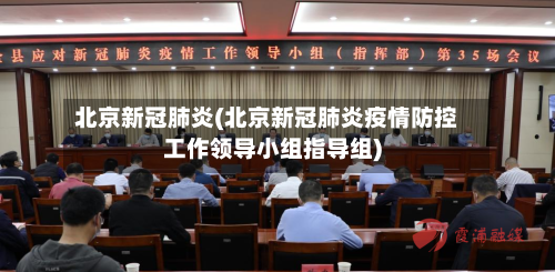 北京新冠肺炎(北京新冠肺炎疫情防控工作领导小组指导组)
