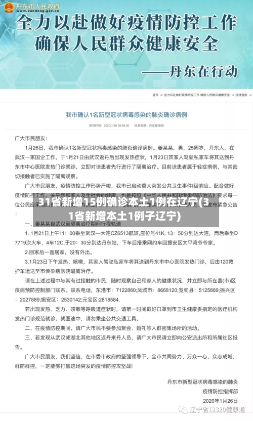 31省新增15例确诊本土1例在辽宁(31省新增本土1例子辽宁)-第2张图片