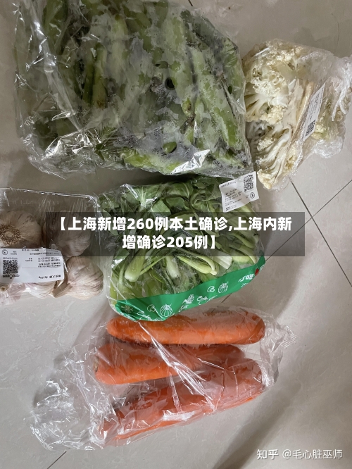 【上海新增260例本土确诊,上海内新增确诊205例】