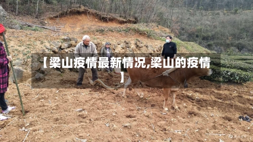 【梁山疫情最新情况,梁山的疫情】-第2张图片