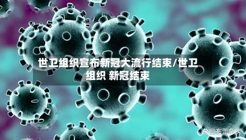 世卫组织宣布新冠大流行结束/世卫组织 新冠结束