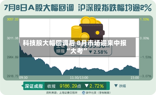 科技股大幅回调后 8月市场迎来中报“大考”-第2张图片