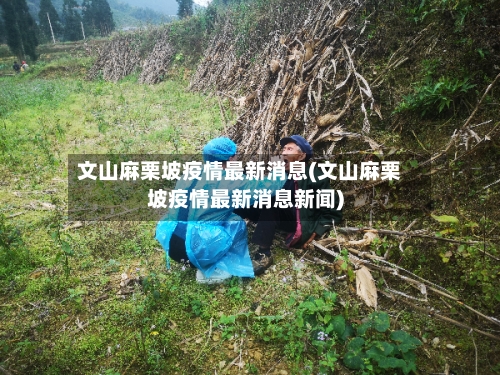 文山麻栗坡疫情最新消息(文山麻栗坡疫情最新消息新闻)