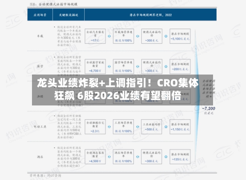 龙头业绩炸裂+上调指引!CRO集体狂飙 6股2026业绩有望翻倍-第3张图片