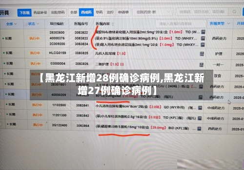 【黑龙江新增28例确诊病例,黑龙江新增27例确诊病例】-第2张图片