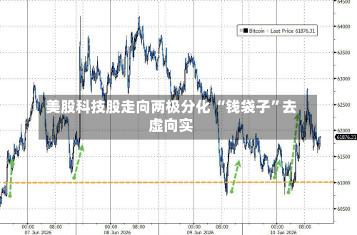 美股科技股走向两极分化 “钱袋子”去虚向实