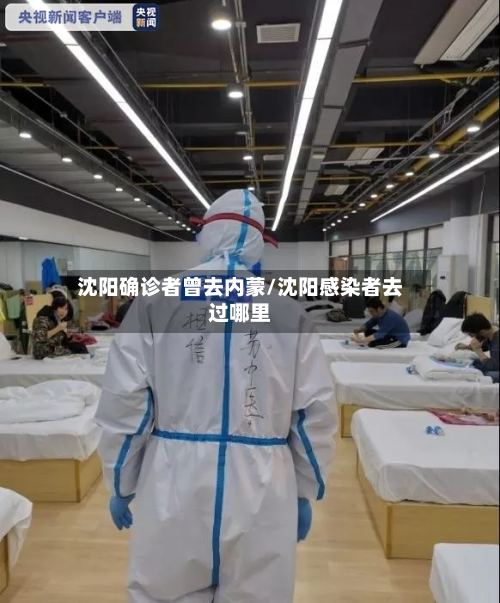 沈阳确诊者曾去内蒙/沈阳感染者去过哪里-第3张图片