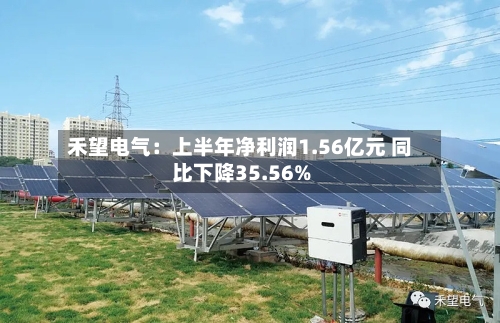 禾望电气:上半年净利润1.56亿元 同比下降35.56%-第2张图片
