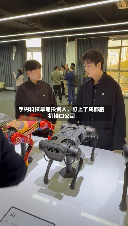 宇树科技早期投资人，盯上了成都脑机接口公司-第3张图片