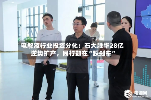 电解液行业投资分化：石大胜华28亿逆势扩产，同行却在“踩刹车”-第2张图片