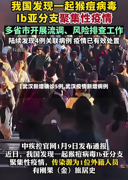 【武汉新增确诊5例,武汉疫情新增病例】