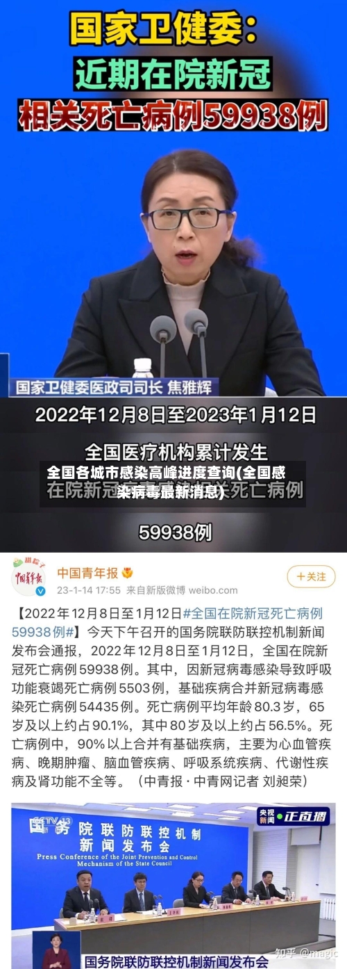 全国各城市感染高峰进度查询(全国感染病毒最新消息)