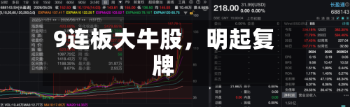 9连板大牛股，明起复牌-第3张图片