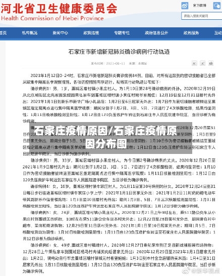 石家庄疫情原因/石家庄疫情原因分布图-第2张图片