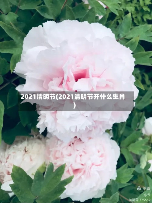 2021清明节(2021清明节开什么生肖)