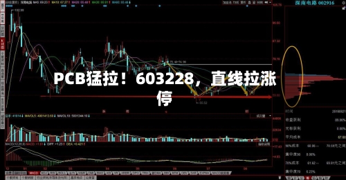 PCB猛拉！603228，直线拉涨停