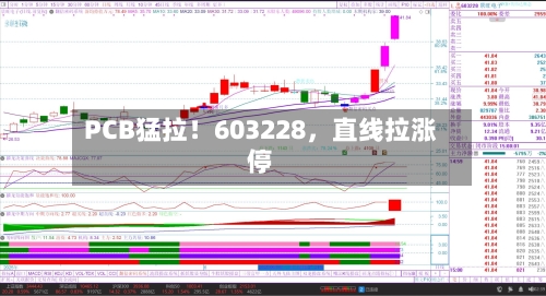 PCB猛拉！603228	，直线拉涨停-第2张图片