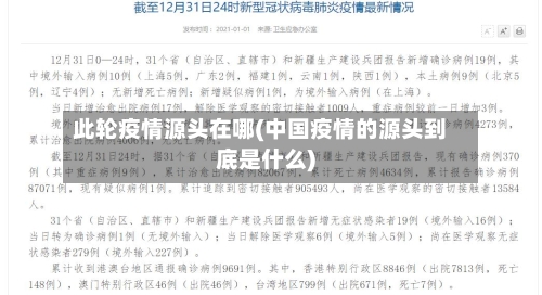 此轮疫情源头在哪(中国疫情的源头到底是什么)