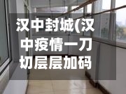 汉中封城(汉中疫情一刀切层层加码被通报)-第3张图片