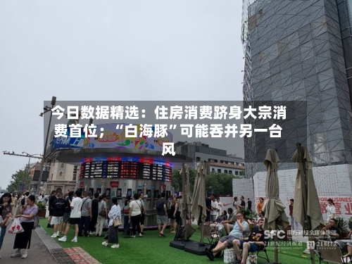 今日数据精选：住房消费跻身大宗消费首位；“白海豚	”可能吞并另一台风-第2张图片