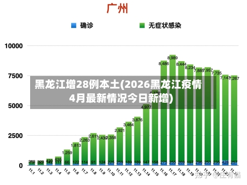 黑龙江增28例本土(2026黑龙江疫情4月最新情况今日新增)-第3张图片