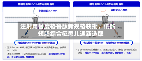 注射用替度格鲁肽新规格获批	，低龄短肠综合征患儿迎新选取-第2张图片