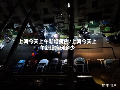 上海今天上午新增病例/上海今天上午新增病例多少-第2张图片