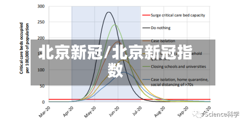 北京新冠/北京新冠指数