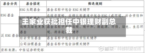 王家业获批担任中银理财副总裁